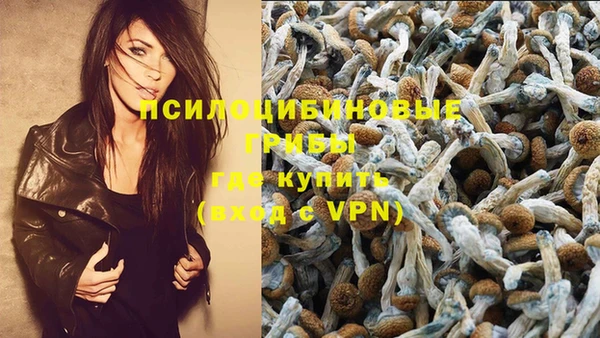 хмурый Балабаново