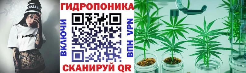 Шишки марихуана конопля Ливны